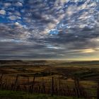 Sonnenuntergang im Weinbergländle