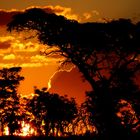 Sonnenuntergang im Welgevonden Game Reserve