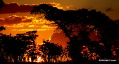 Sonnenuntergang im Welgevonden Game Reserve