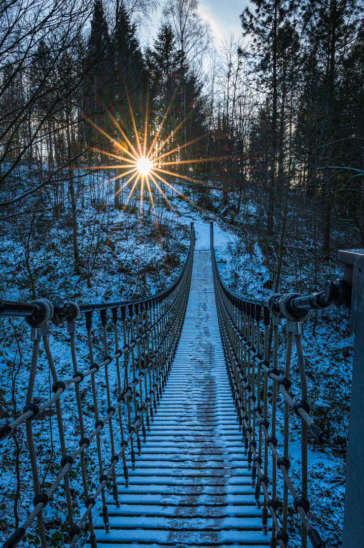 Sonnenuntergang im Weltwald