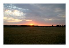 Sonnenuntergang im Wendland