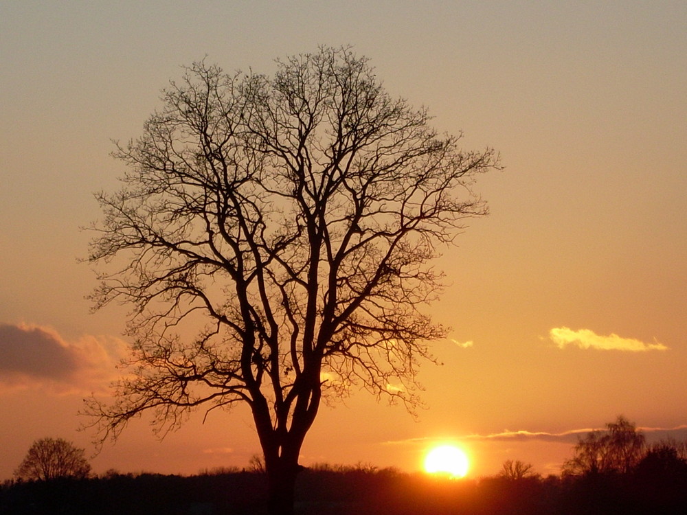 Sonnenuntergang im Wendland