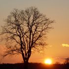 Sonnenuntergang im Wendland