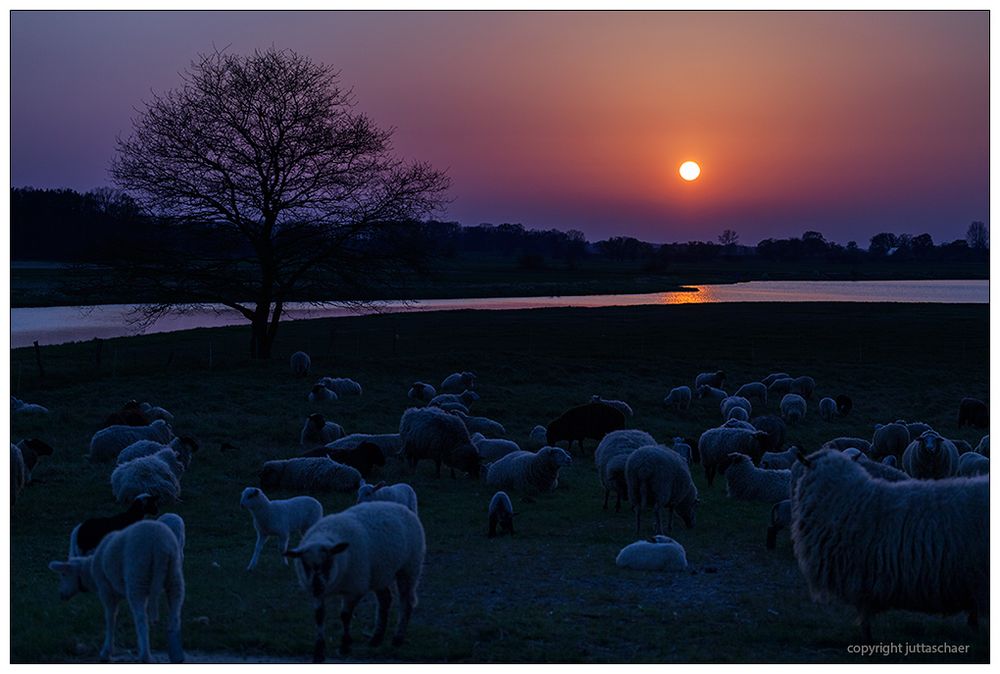 Sonnenuntergang im Wendland