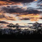 Sonnenuntergang im Westen von Steinenstadt - Hauptstraße