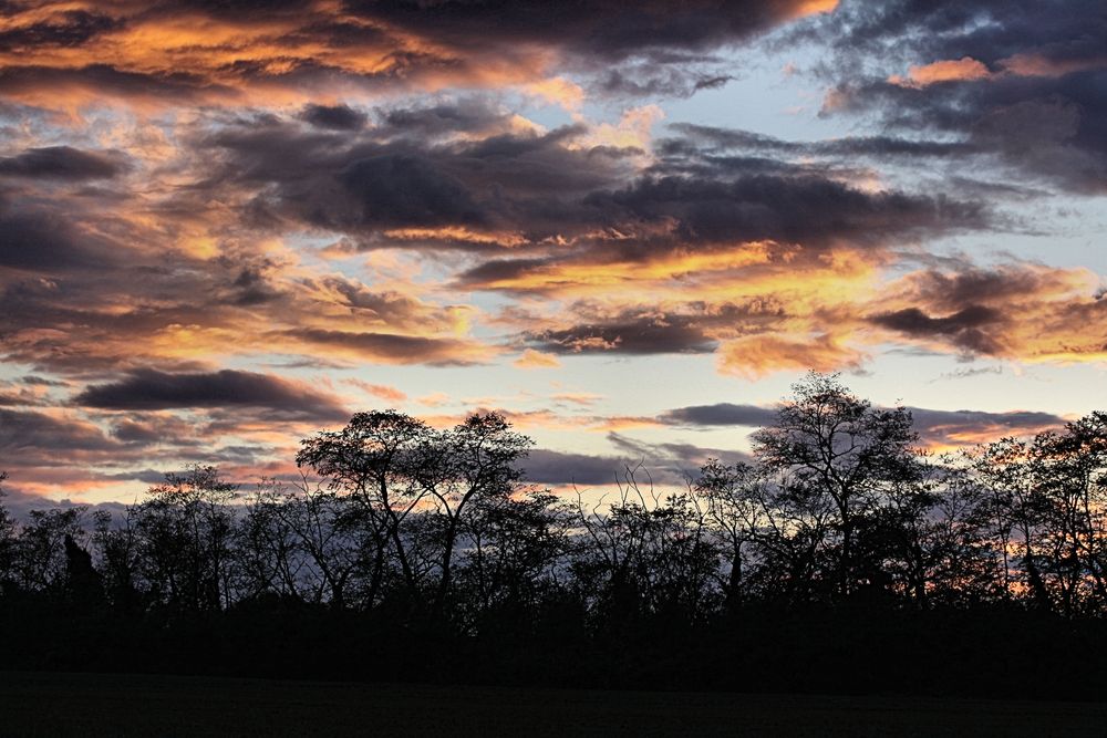 Sonnenuntergang im Westen von Steinenstadt - Hauptstraße