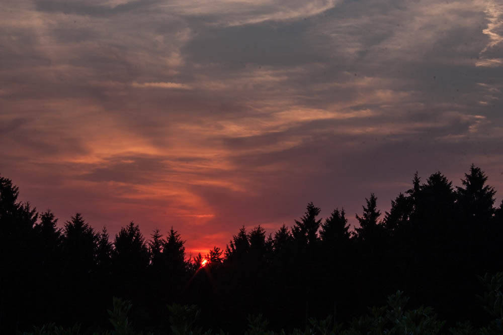 Sonnenuntergang im Westerwald