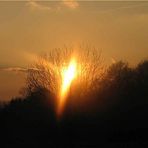 sonnenuntergang im wiedtal bei schöneberg 19.3.2009