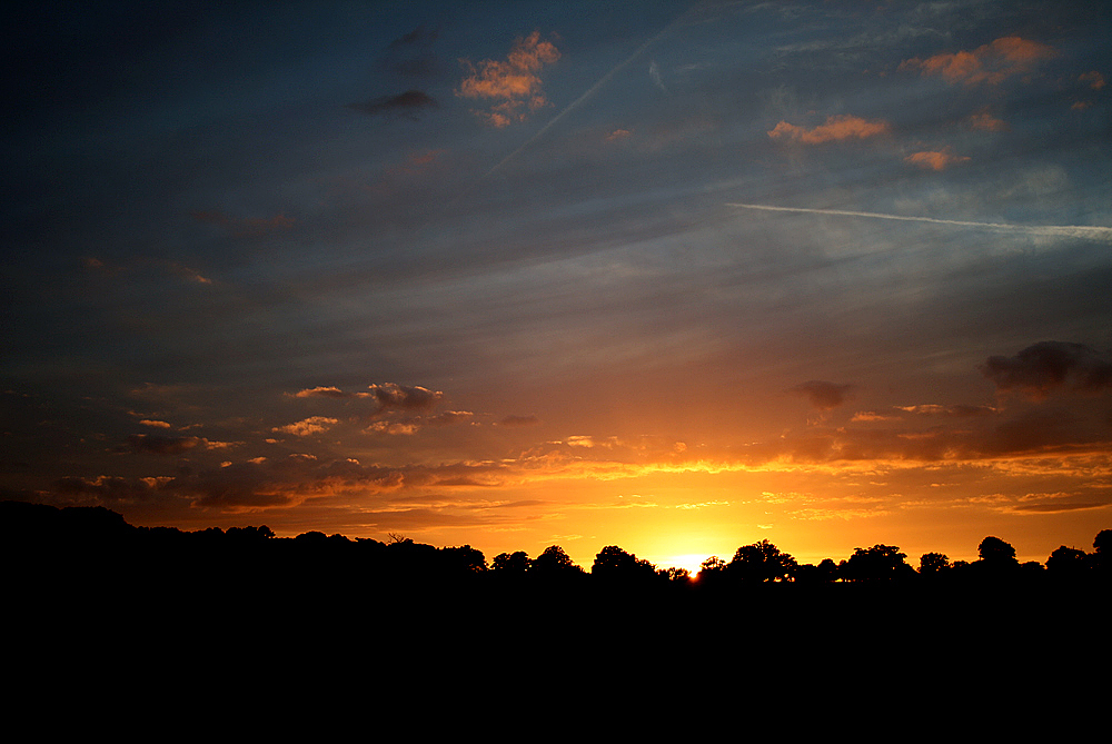 Sonnenuntergang im Windsorpark