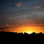 Sonnenuntergang im Windsorpark