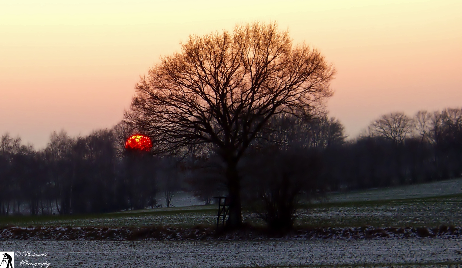 Sonnenuntergang im Winter 2012