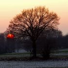 Sonnenuntergang im Winter 2012