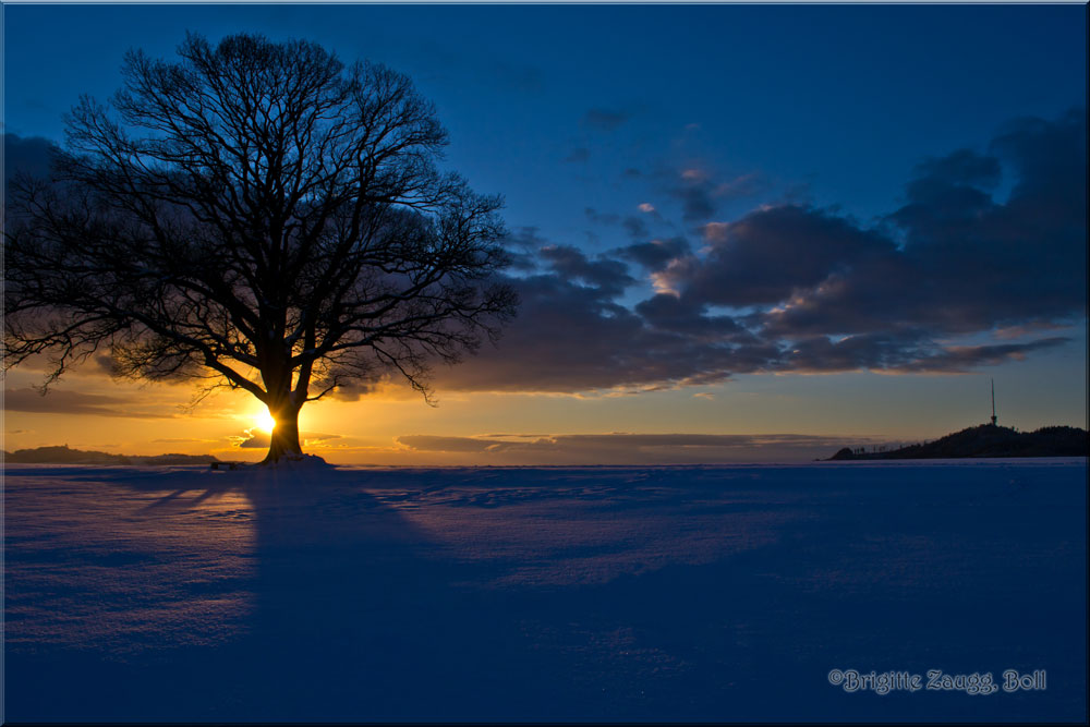 Sonnenuntergang im Winter