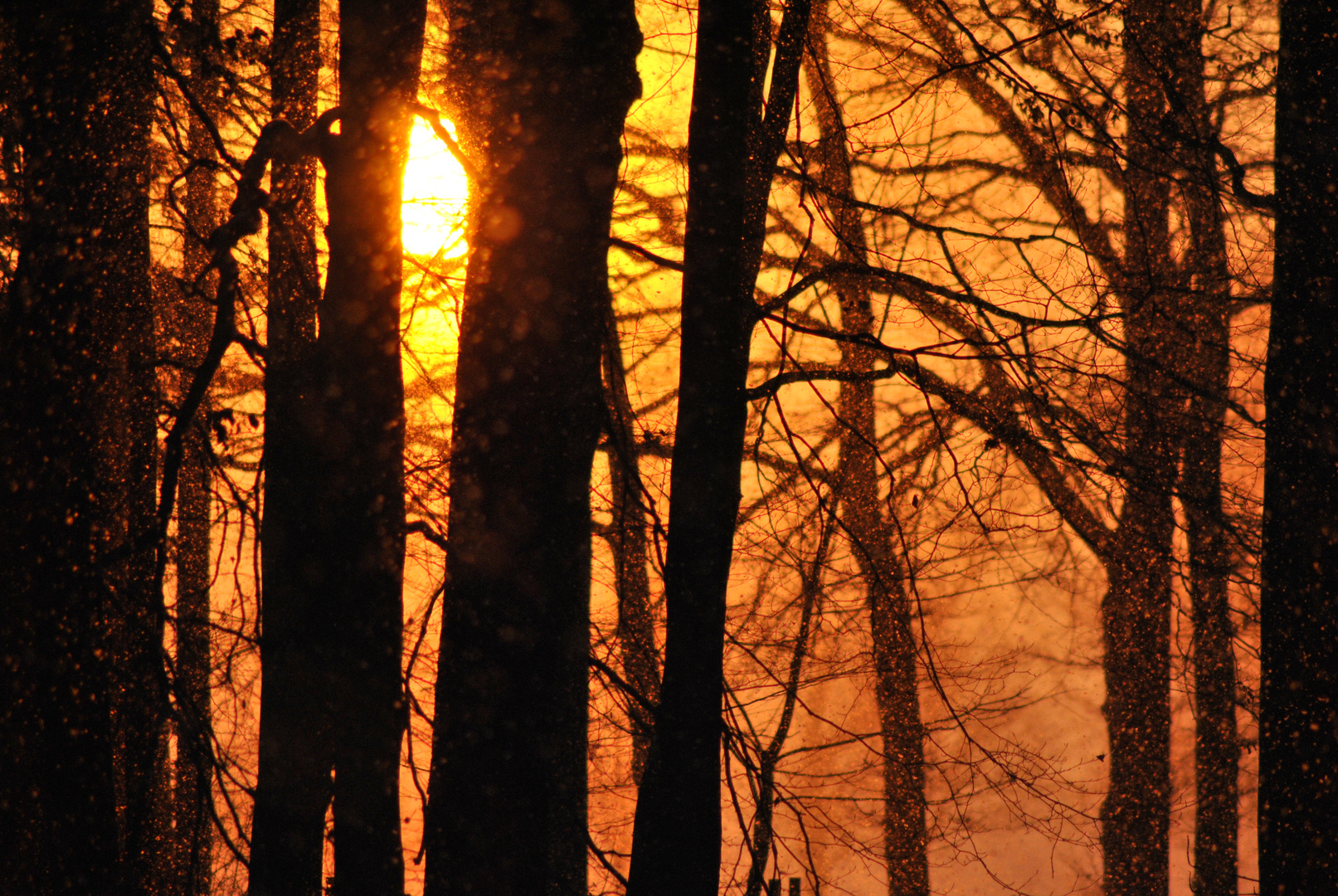 Sonnenuntergang im Winter