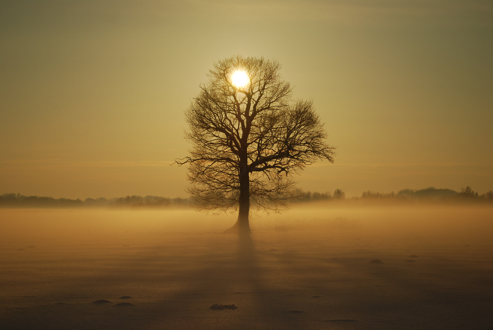 Sonnenuntergang im Winter