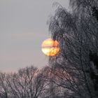 Sonnenuntergang im Winter