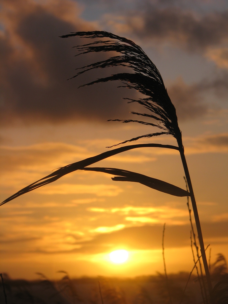 Sonnenuntergang im Winter