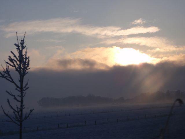 Sonnenuntergang im Winter