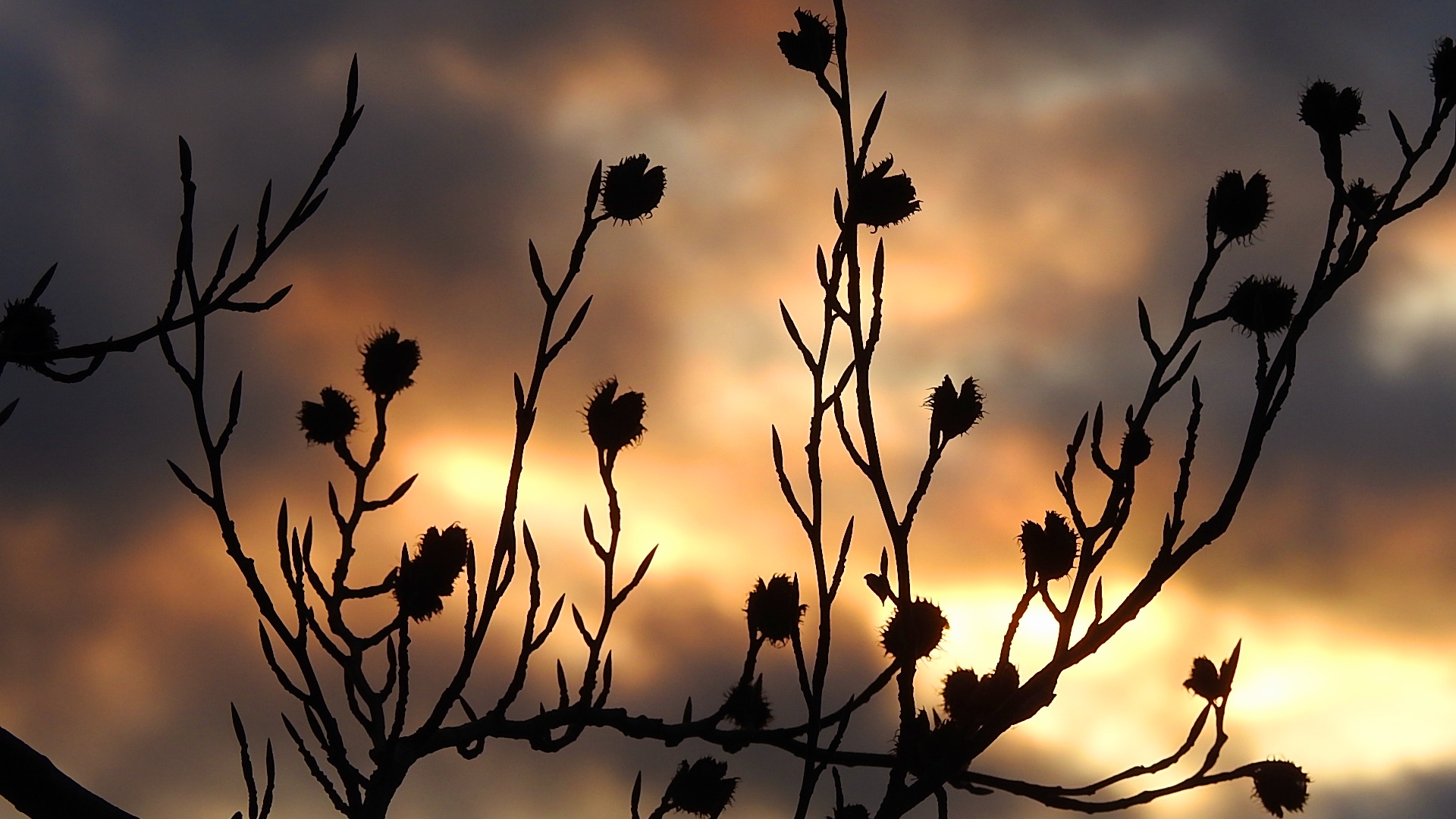 Sonnenuntergang im Winter