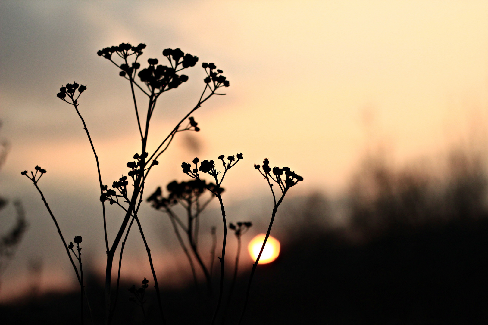 Sonnenuntergang im Winter