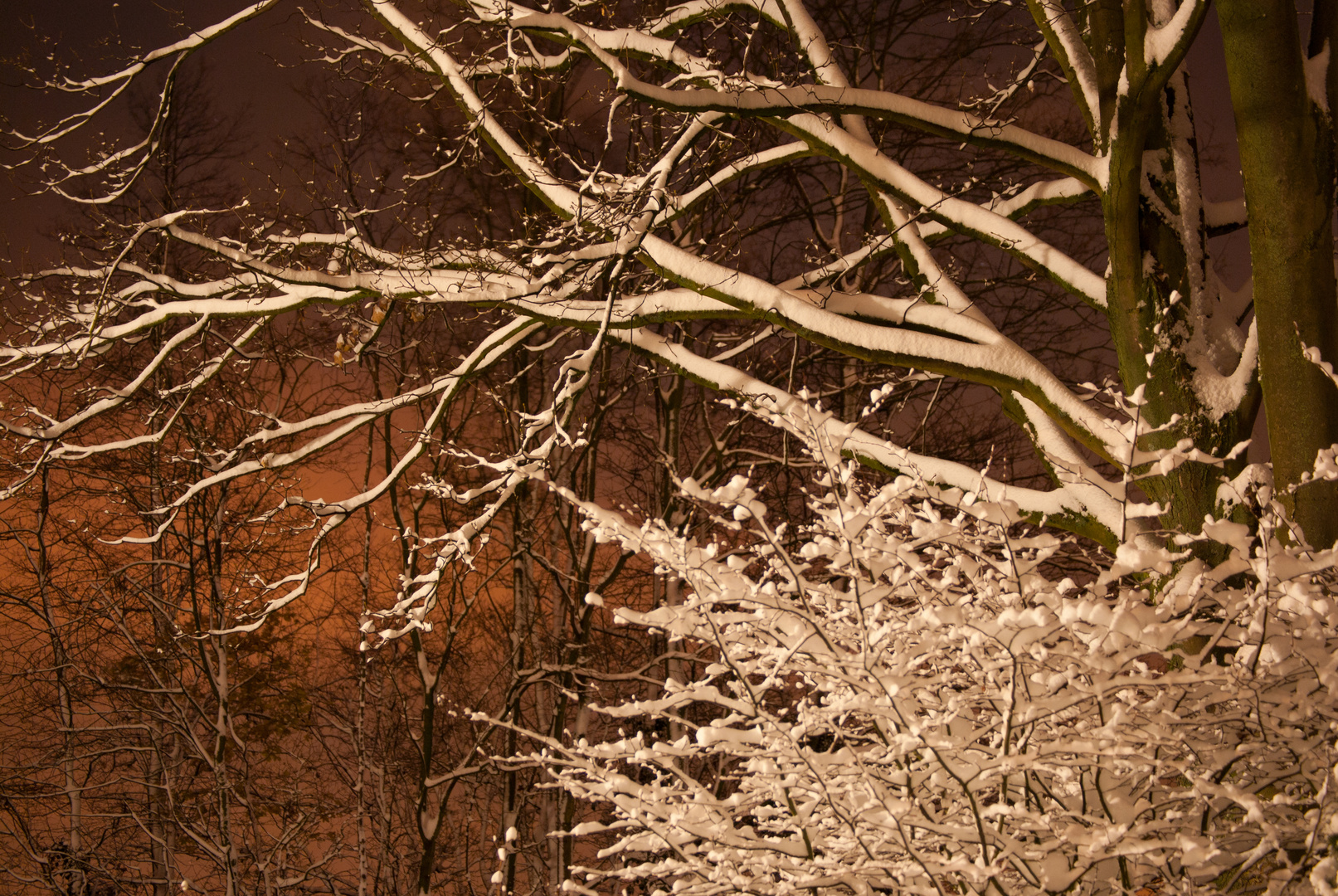 Sonnenuntergang im Winter