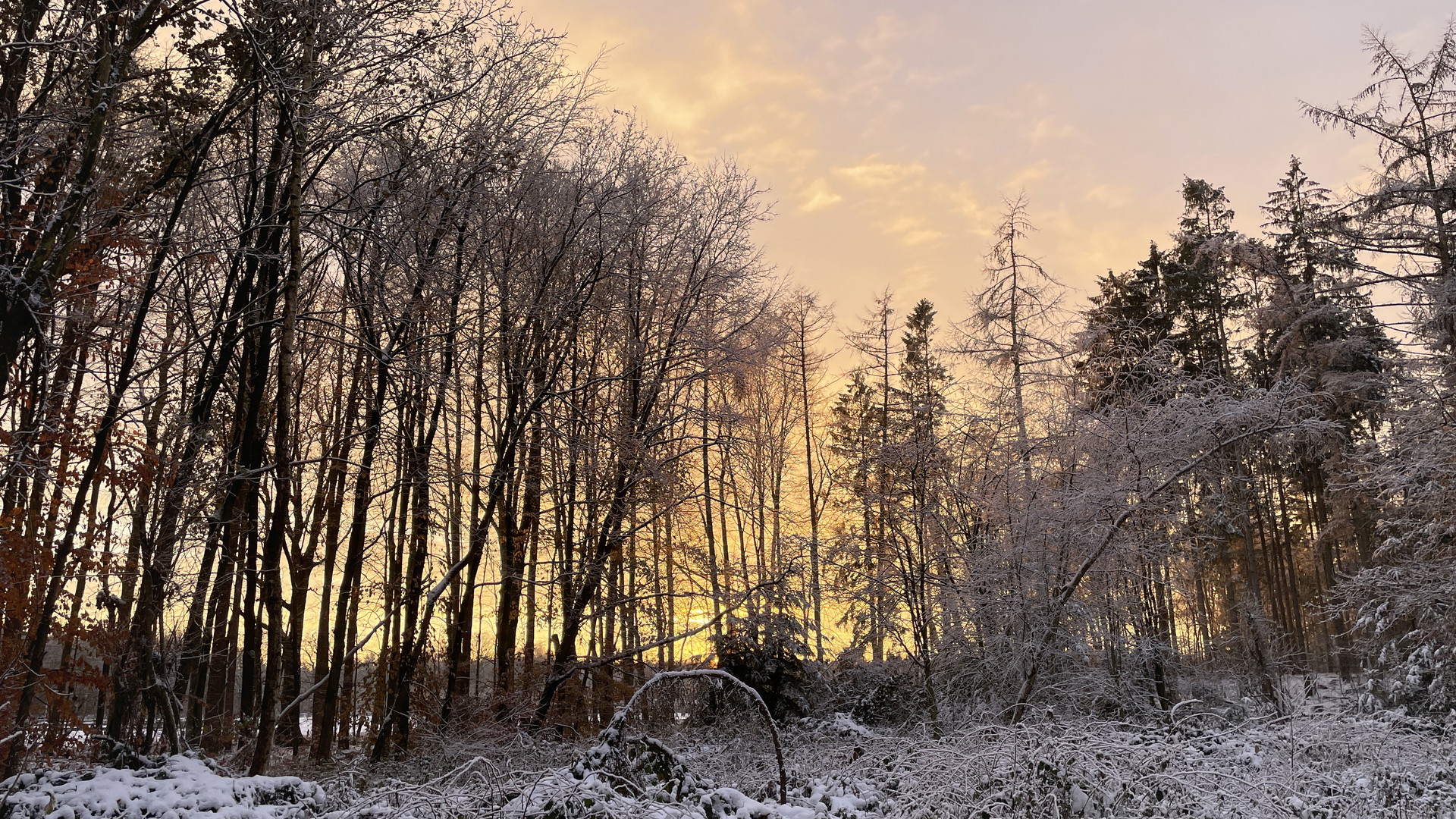 Sonnenuntergang im Winter