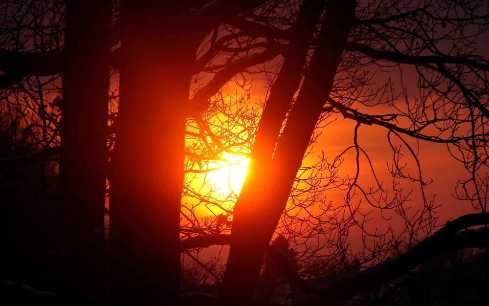 Sonnenuntergang im Winter