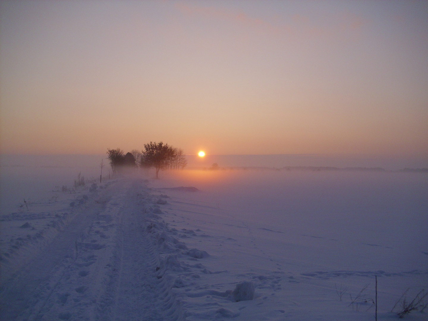 Sonnenuntergang im Winter mit Bodennebel