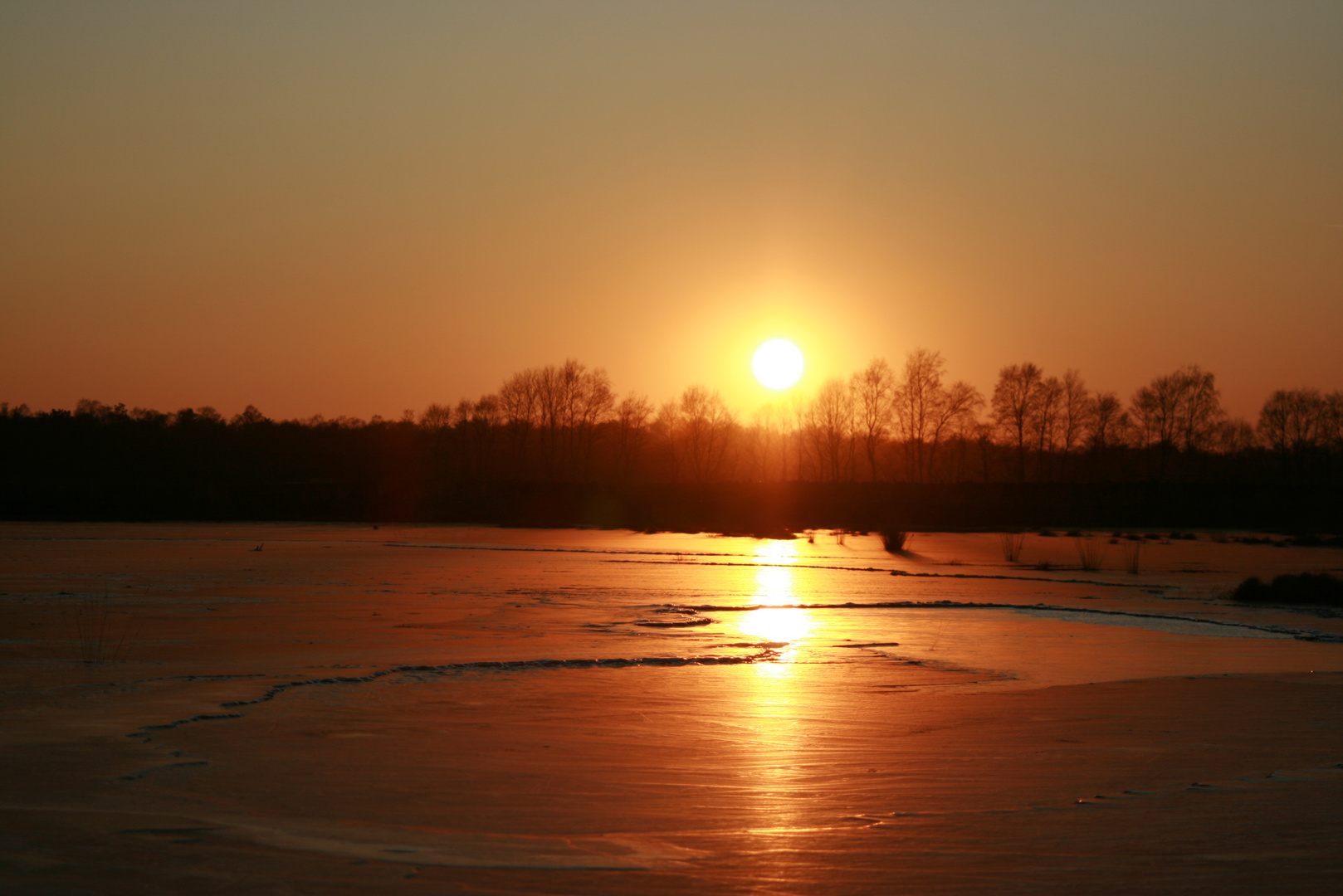 Sonnenuntergang im Winter/ Moor