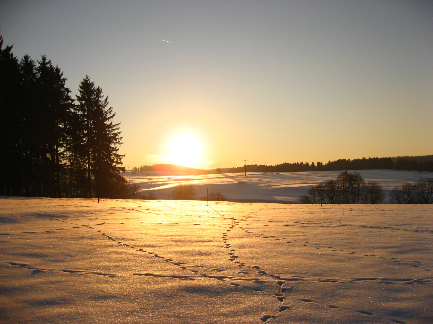 Sonnenuntergang im winterlichen Harz