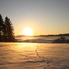 Sonnenuntergang im winterlichen Harz