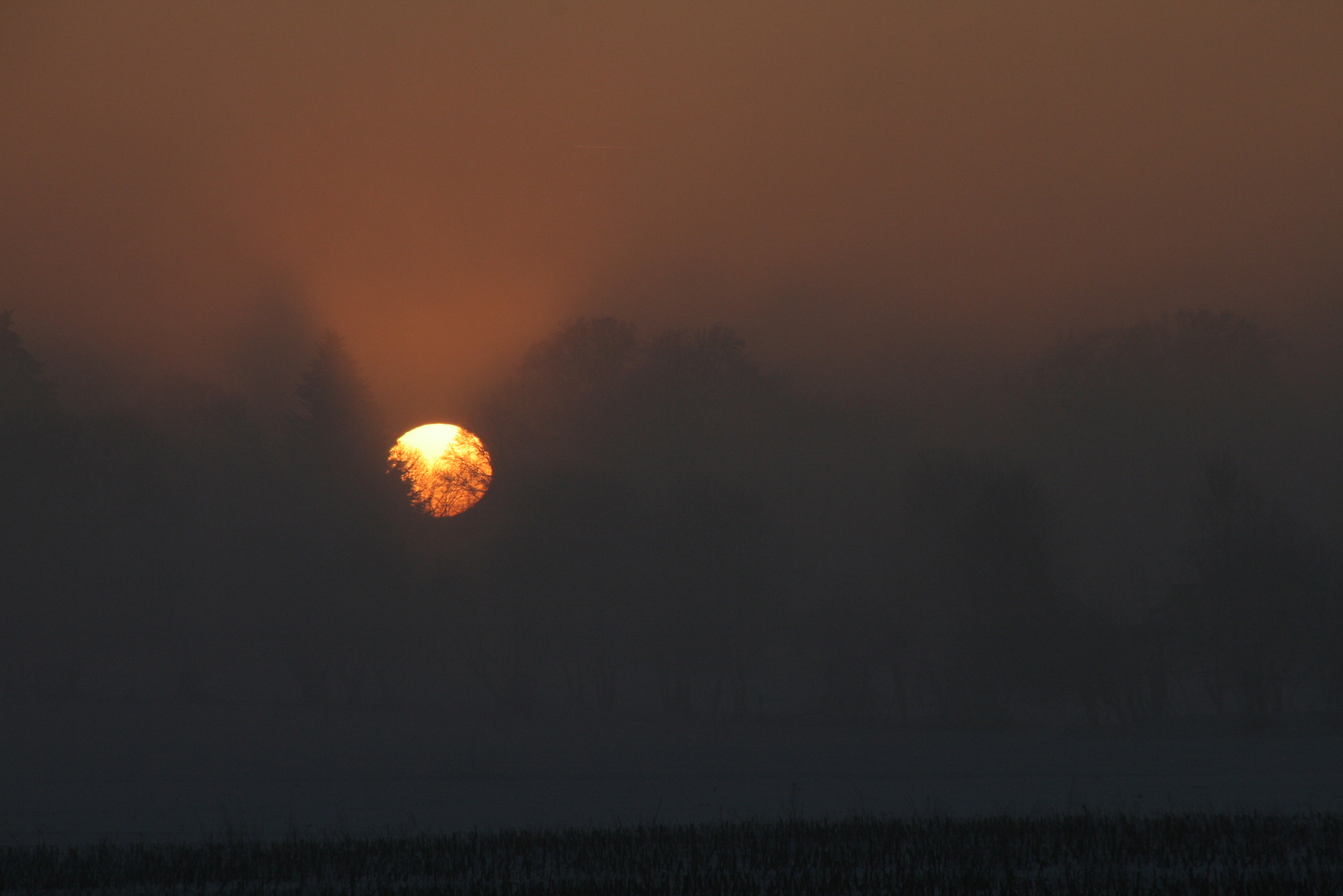 Sonnenuntergang im Winternebel