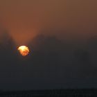 Sonnenuntergang im Winternebel