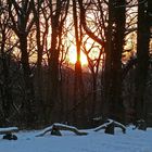 Sonnenuntergang im Winterwald