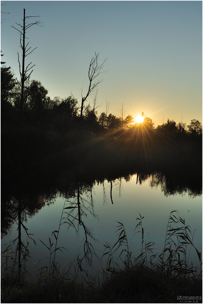 Sonnenuntergang im Wurzacher Ried