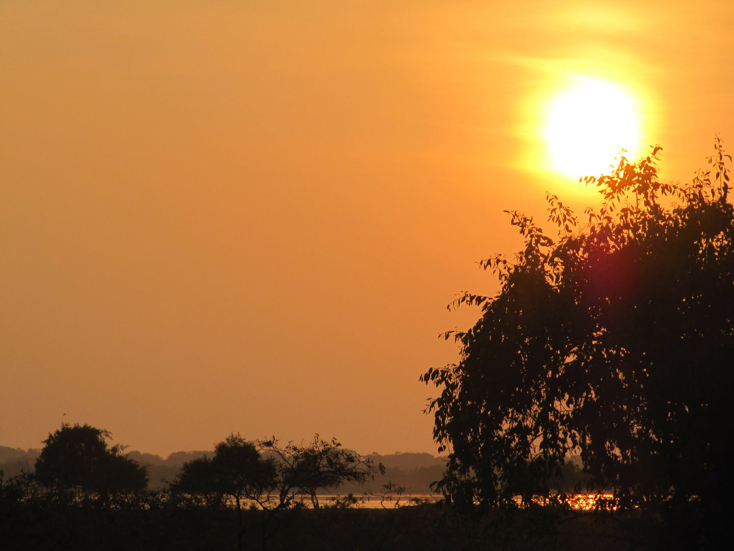 Sonnenuntergang im Yala Nationalpark