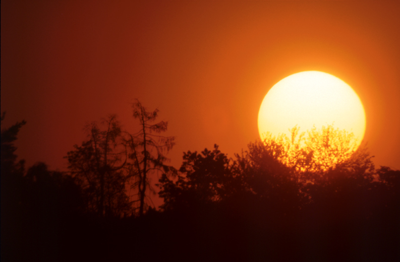 Sonnenuntergang im Zabergäu