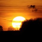 Sonnenuntergang IMG_1121