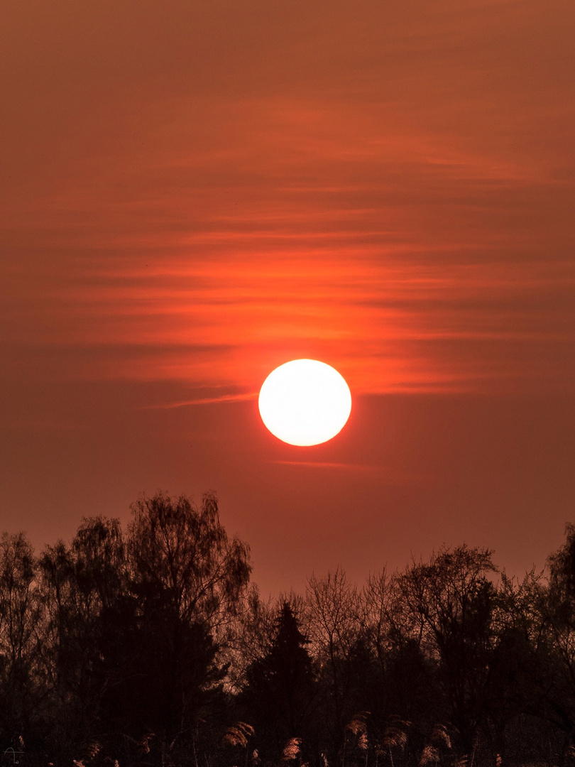 Sonnenuntergang - immer wieder faszinierend 