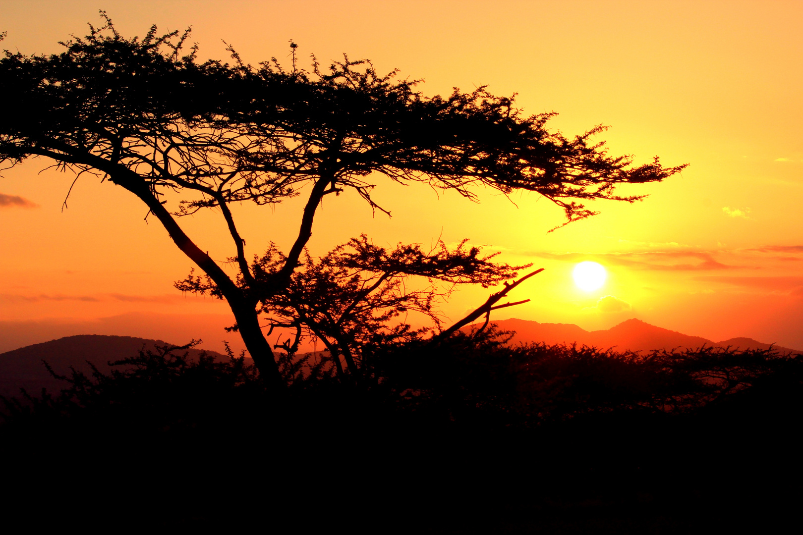 Sonnenuntergang in Afrika