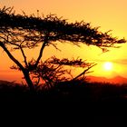 Sonnenuntergang in Afrika