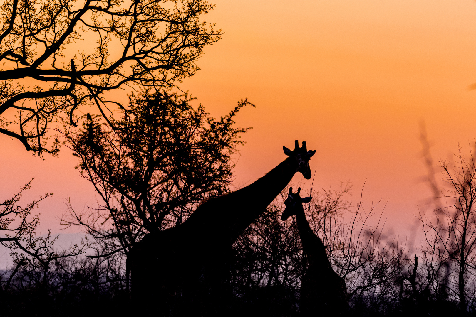 Sonnenuntergang in Afrika