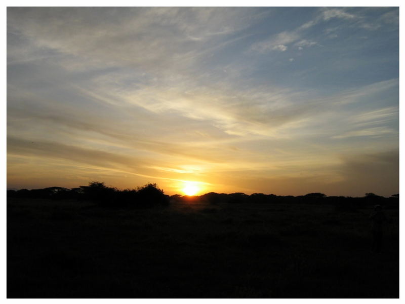 Sonnenuntergang in Afrika