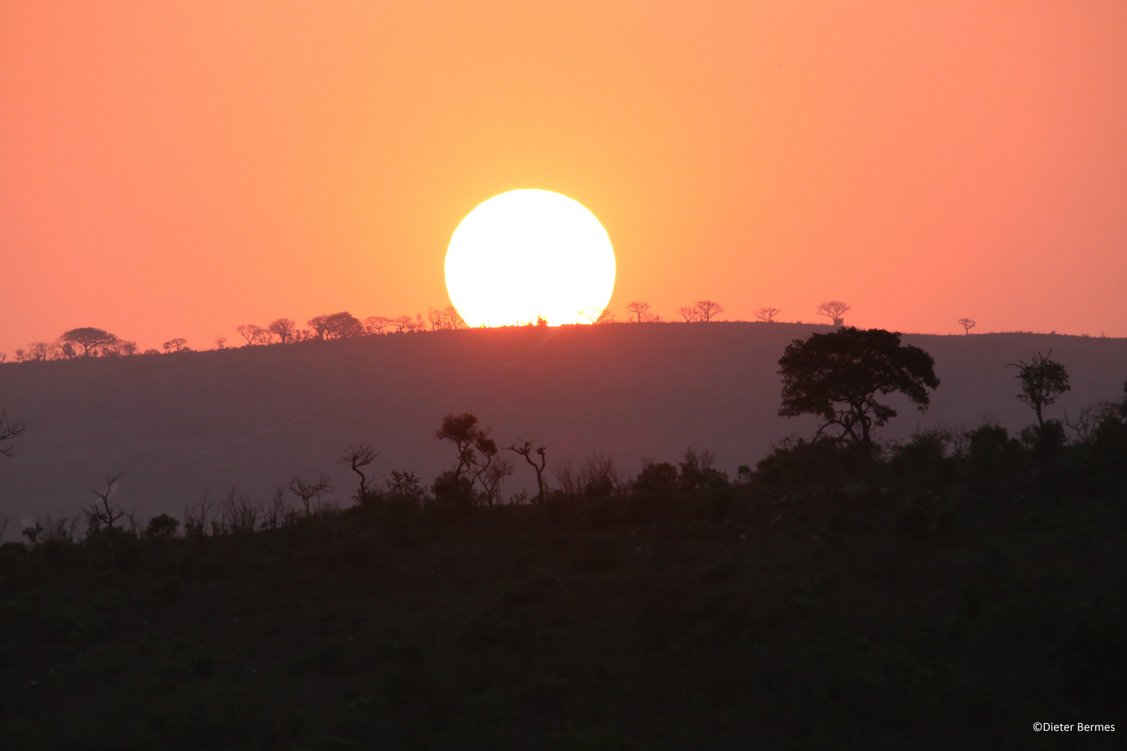 Sonnenuntergang in Afrika