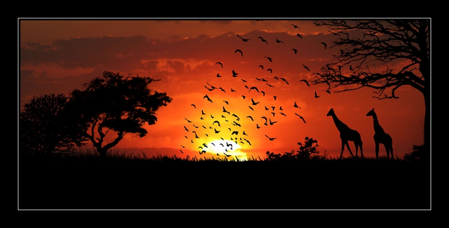 Sonnenuntergang In Afrika Foto Bild Fotomontagen Ebv Natur Kreativ Aufnahmetechniken Bilder Auf Fotocommunity