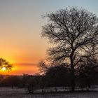 Sonnenuntergang in Afrika