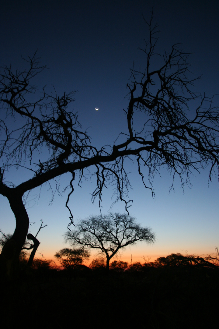 Sonnenuntergang in Afrika