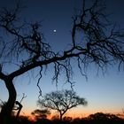 Sonnenuntergang in Afrika