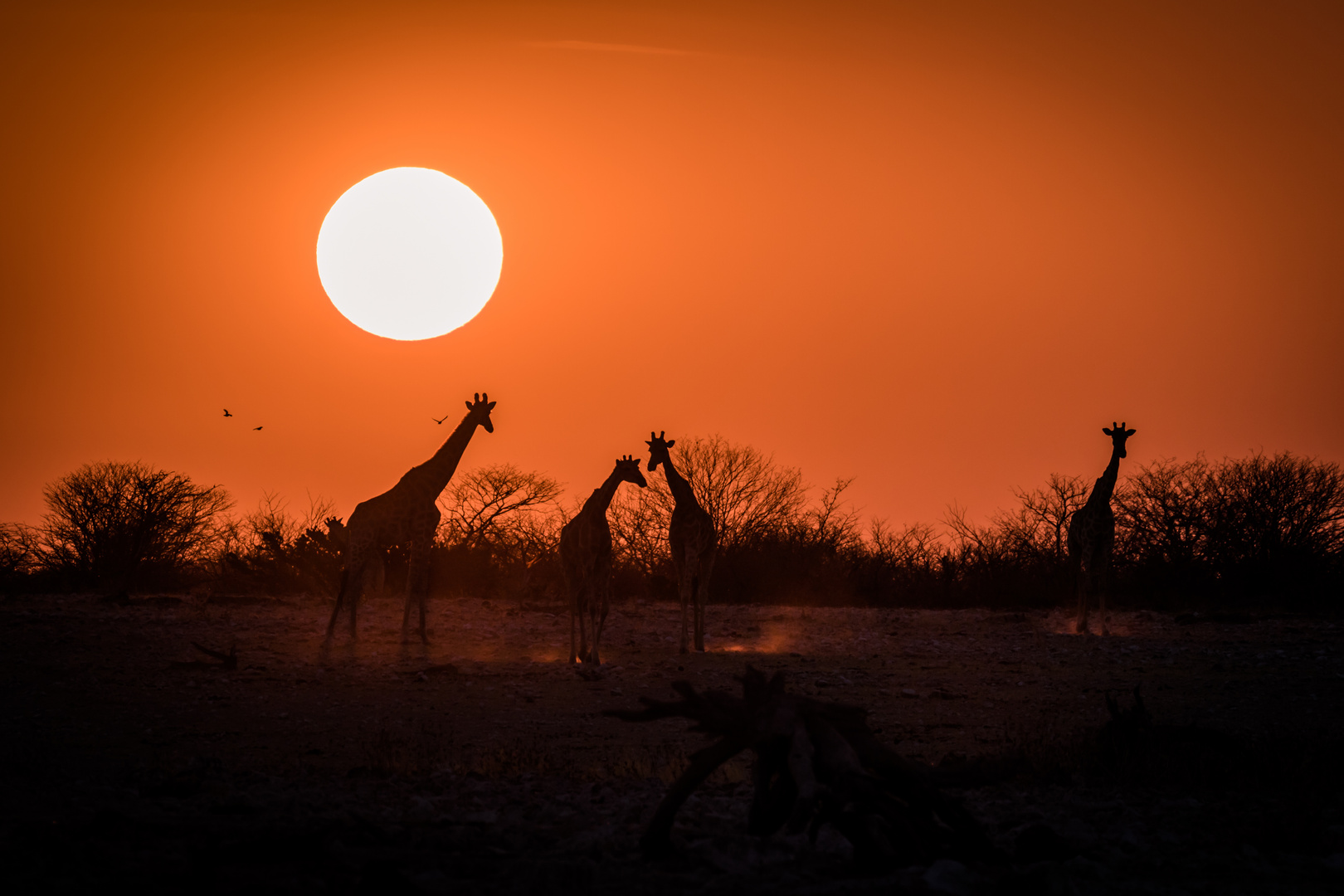 Sonnenuntergang in Afrika