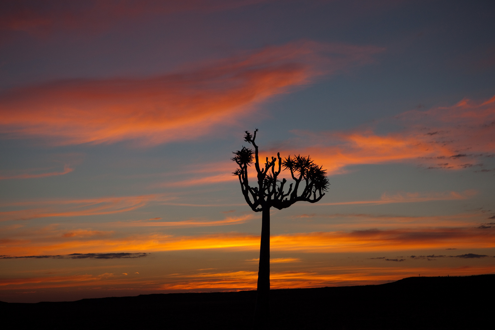 Sonnenuntergang in Afrika